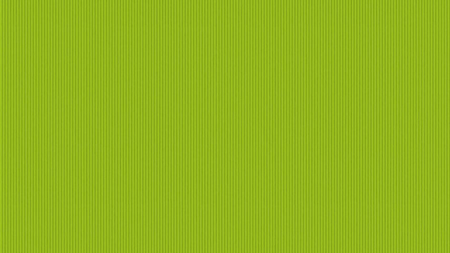 Carta goffrata da rivestimento 66 Slim Verde Cedro grammatura 120